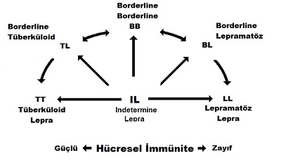 Lepra-Czzam-Hansen-Hastal-Leprann-klinik-formlar.jpg
