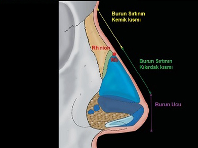 Burun Yağ Enjeksiyonu