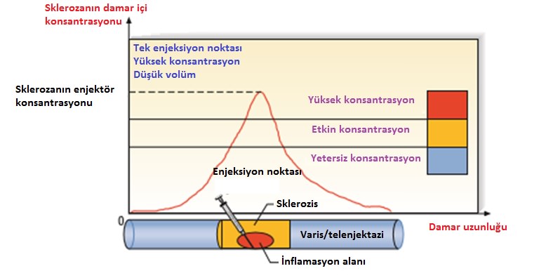 konsan 03