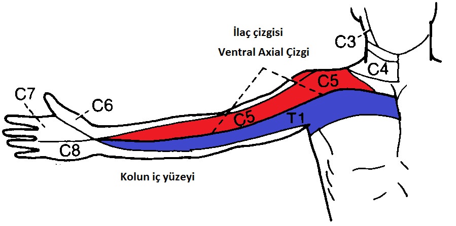 sanat 01