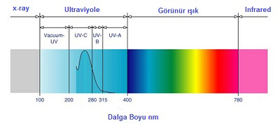 Ultraviyole UV