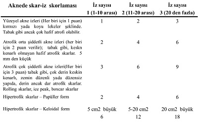 Akne İzlerinin Şiddetinin Belirlenmesi