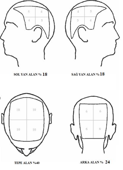 alopesi degerlendirmesi