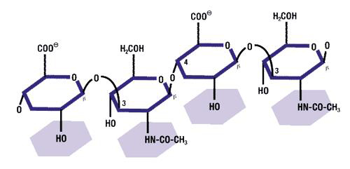 Hyaluronik Asitin Kimyasal Yapısı