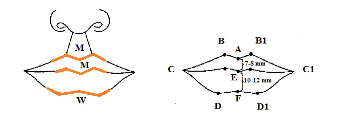 Dudak Estetiği