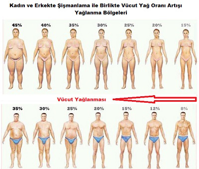 Lazer Lipolizis Uygulama Alanları