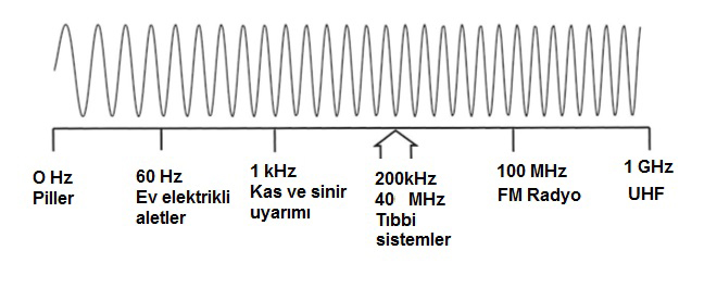 rf 01