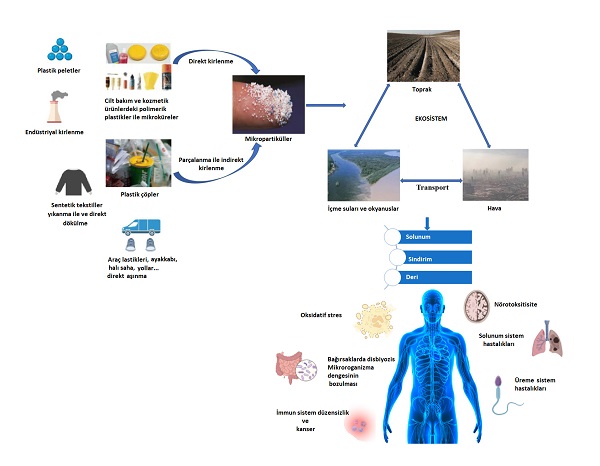 mikroplastikler_ekosistem_cevresel_tehlike_insan_sagligi.jpg