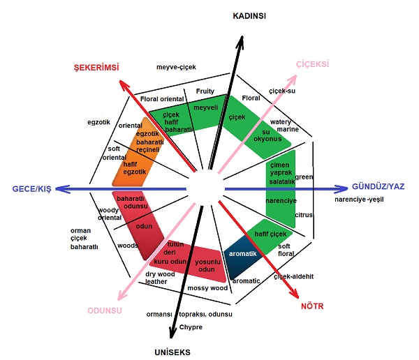 parfum_seciminde_koku_diyagrami_carki.jpg