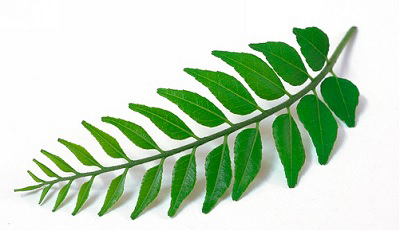 Hint Baharatı (Curry Leaves)