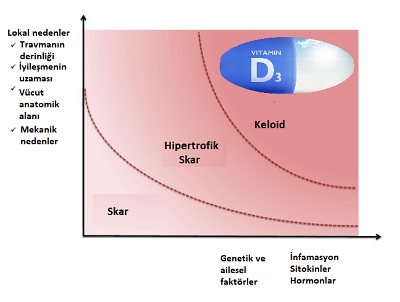 Skar ve D vitamini