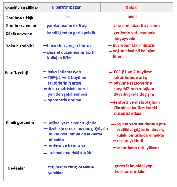 yara_iyilesmesi_hipertrofik_skar_ve_keloid_arasindaki_farklar.jpg
