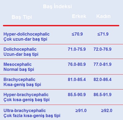 bas tipi 05