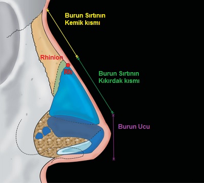 Burnun Genel Değerlendirilmesi