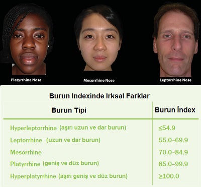 Burnun Genel Değerlendirilmesi