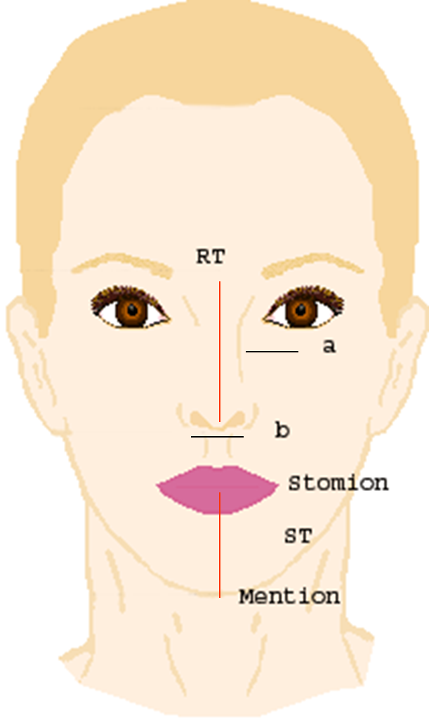 ideal burun 01
