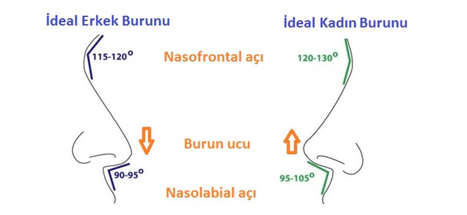 kadin erkek burun