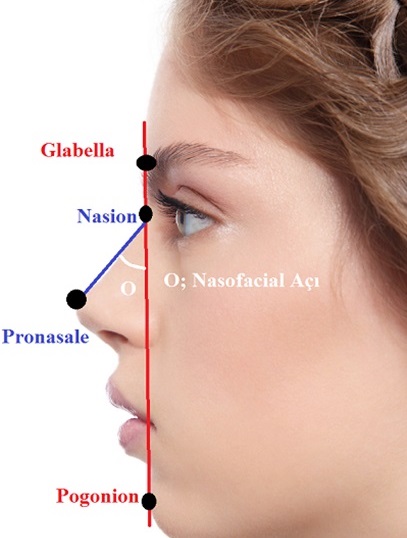 nasofacial 01