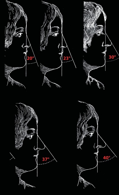 nasofacial 02