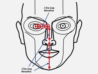 Yüz Estetik Analizinde Dr. Young'ın Göz İris Çapı Değerlendirme Yöntemi