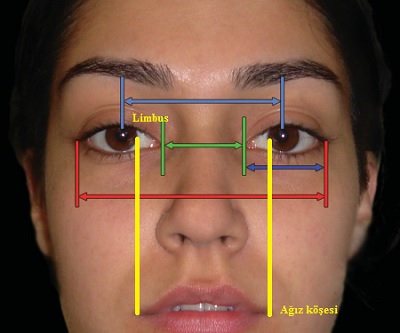 Yüzde Göz ve Göz Kapaklarının Estetik Analizi