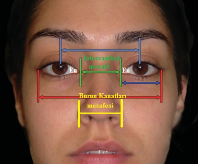 Yüzde Göz ve Göz Kapaklarının Estetik Analizi