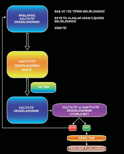 Yüz Analizinde Kalitatif (Sayısal Ölçümler Yapmadan) Derğlendirme Yöntemi