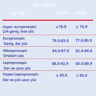 yuz sekli 07