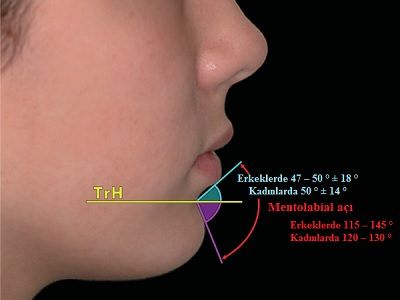Mentolabial açı